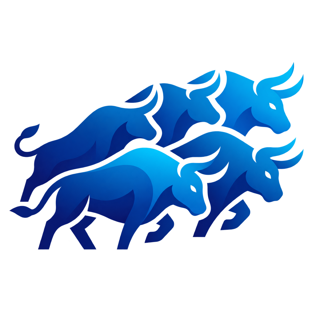 Herd bulls
